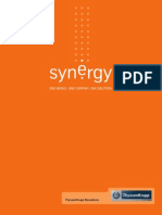 Synerg Port PDF