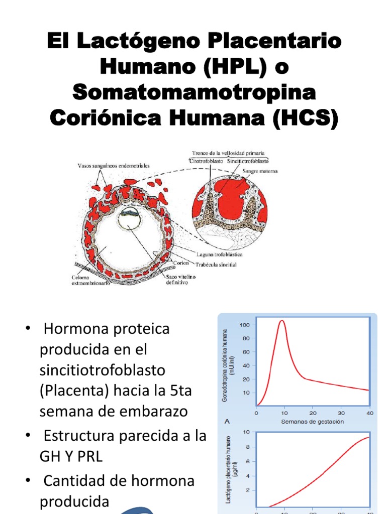 El Lactógeno Placentario Humano (HPL) y PREECLAMPSIA | PDF ...