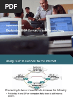 BGP Report