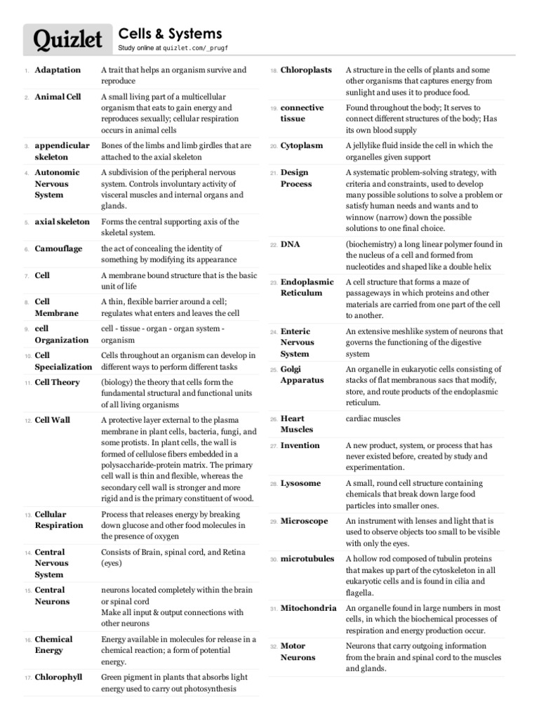 Vocab quizlet q4  Cell (Biology)  Muscle