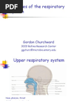 Download Diseases of the Respiratory System by Eugenia Ceban SN225033544 doc pdf