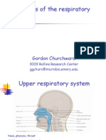 Diseases of The Respiratory System