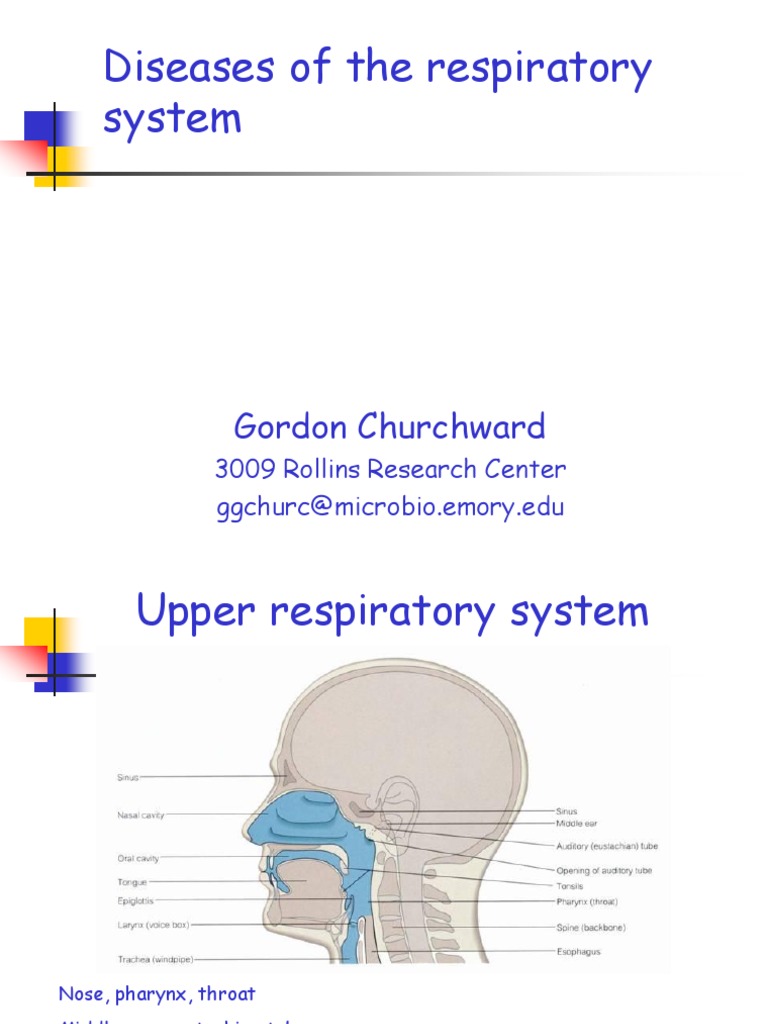 Diseases of the Respiratory System | Pneumonia | Influenza