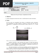 2º Experimento - Ondas Estacionárias