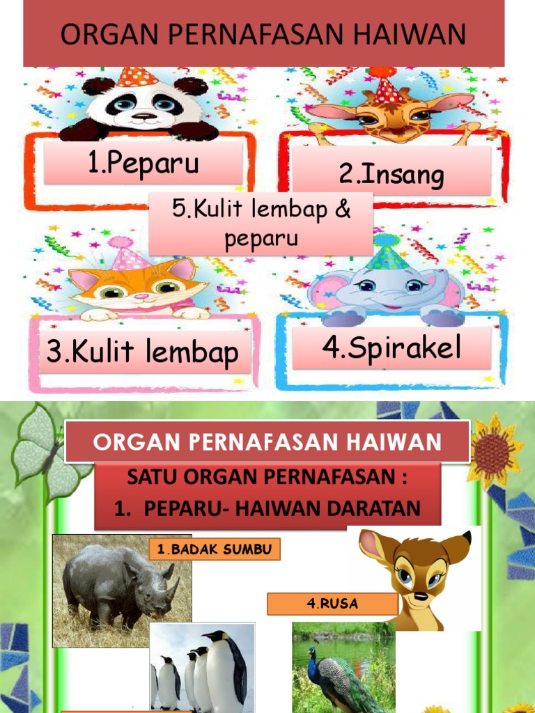 Organ Pernafasan Haiwan Pdf