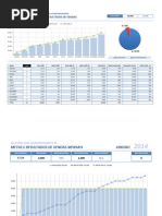 Relatório Metas Mensais