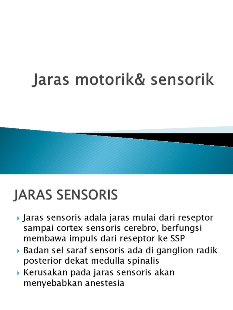Jalur Sensorik dan Motorik dalam Saraf | PDF | Seni | Pengembangan Diri