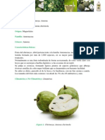 FRUTA Chirimoya PDF