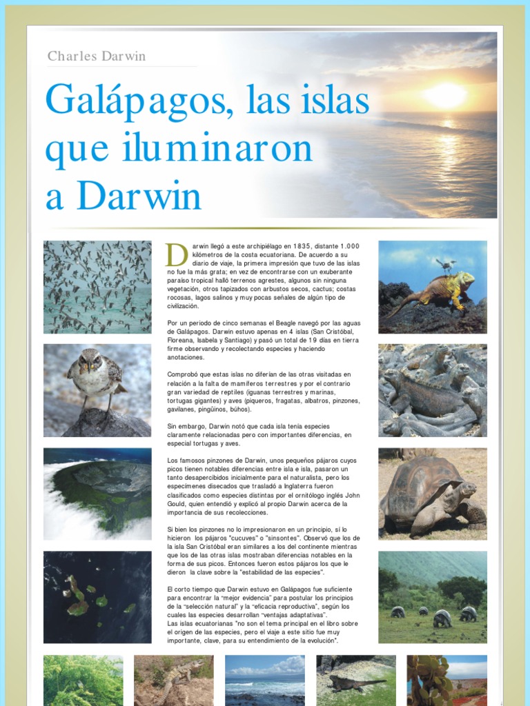 88 Rolex Presidencial Day-Date Oro amarillo de 18 quilates | GOODSTONE, image size:768x1024