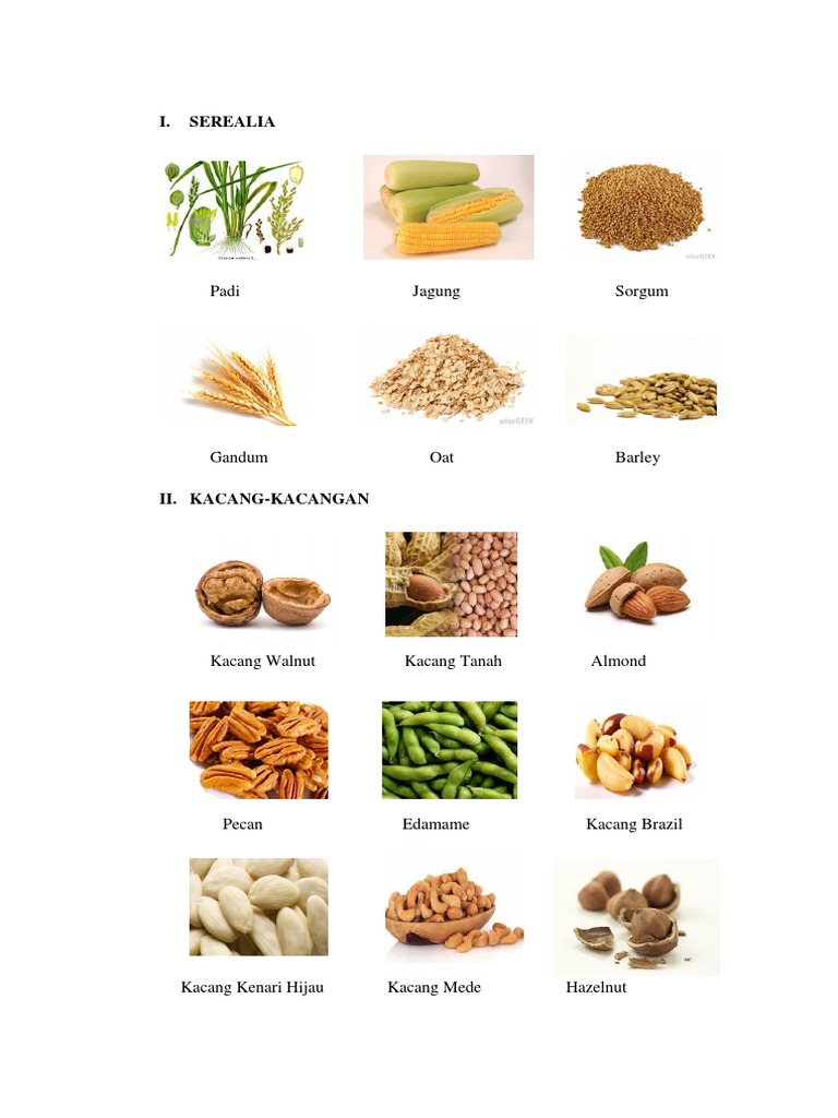serealia kacang kacangan umbi umbian serealia kacang kacangan umbi umbian