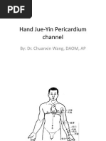 Class 8 - Hand Jue-Yin Pericardium Channel