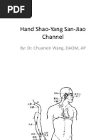 Class 8 - Hand Shao-Yang San-Jiao Channel