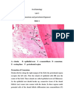 Lab 5 Cementum and Periodontal Ligament