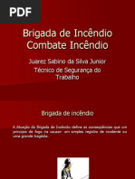 Brigada de Incendio