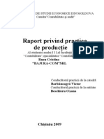 Raport de Practika