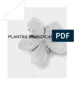 Agricultura Ecologica Especies de Vegetacion Espontanea Plantas Bioindicadoras