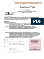 AA Bauza Joseluis - Curriculum Vitae