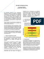 PeCERT, estado actual de los servicios y comunicaciones para instituciones públicas