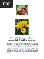 Download El Anthurium by Rodolfo Prez Romera SN225128023 doc pdf
