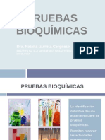 Laboratoriono 5 Pruebasbioqumicas 110529225758 Phpapp02