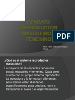Aparato Reproductor Femenino y Masculino[1]