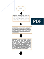 DIAGRAMA CEBADA