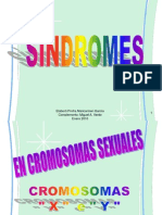 sndromes2007-