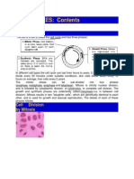 Lecture 7 - The Cell Cycle