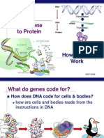 61 Gene to Protein 2008