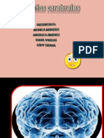 Diapositivas de Neuro