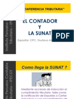 El Contador y La Sunat