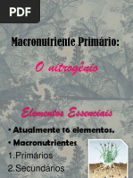 Fixação do Nitrogênio e nitrogenase