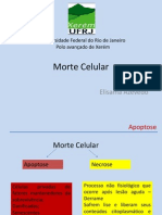 Morte Celular