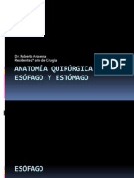 Anatomia Quirurgica Del Esofago y El Estomago