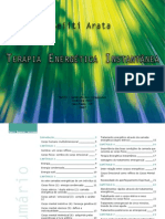 Terapia Energetica Instantanea Metodo Arata