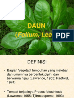 Daun Botani Farmasi UNPAD