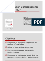 RCP - Completo PDF