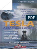Aleksandar Milinkovic - Tesla Carobnjak i Genije