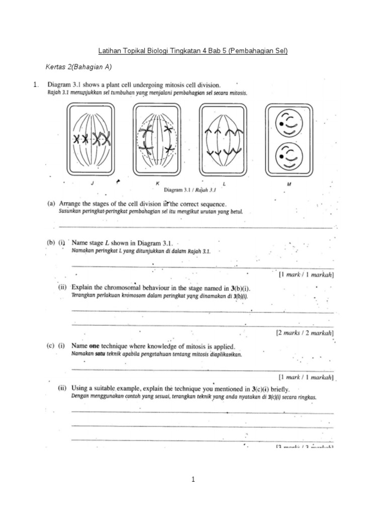 Bank Soalan Biologi Tingkatan 4  Biologi Kertas 2  .tingkatan 4 serta