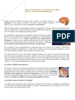 La Cuántica de Las Emociones y El Dna