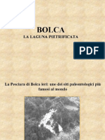 bolca 1