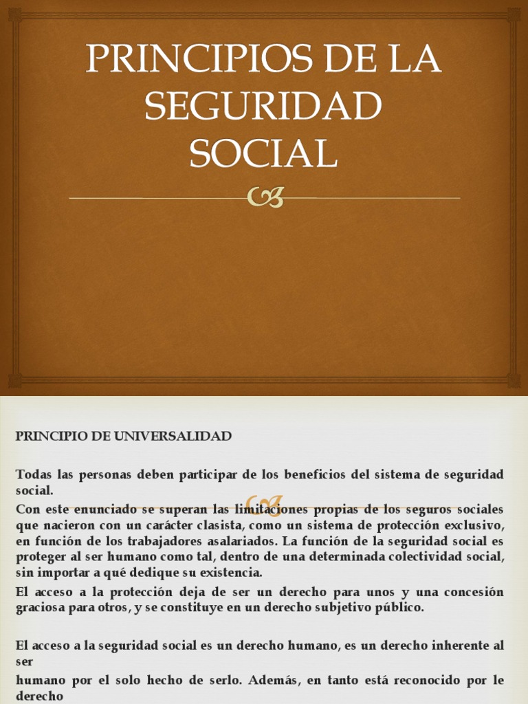 PRINCIPIOS DE LA SEGURIDAD SOCIAL visual data 2