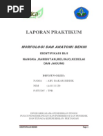 Download Identifikasi Biji Nangka Melijo Rambutan Dan Jagung by 91siddik SN225351561 doc pdf