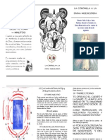 Coronilla PDF