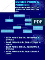 Metabolisme Purin & Pirimidin_2