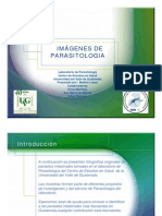 Imagenes de Parasitologia