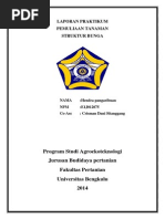 Download LAPORAN PRAKTIKUM Struktur Bunga Asli by Hendra Setiawan Pangaribuan SN225366860 doc pdf