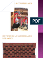 Historia de La Cochinilla en Los Andes