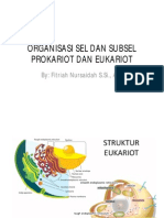 Organisasi Sel Dan Subsel