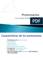 Generalidades Protozoarios